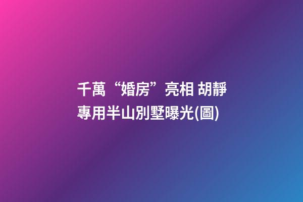千萬“婚房”亮相 胡靜專用半山別墅曝光(圖)